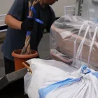 代表あいさつ